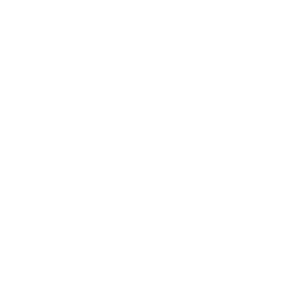 Favicon White - Liberal Alliance - Frederik Tuxen Bjerrum KV25 og RV25